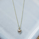 Coastal Collier