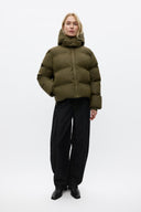 Leo Manteau