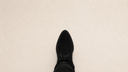 Violeta Bottes